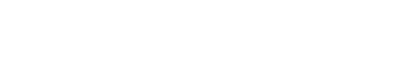 M.net Consulting